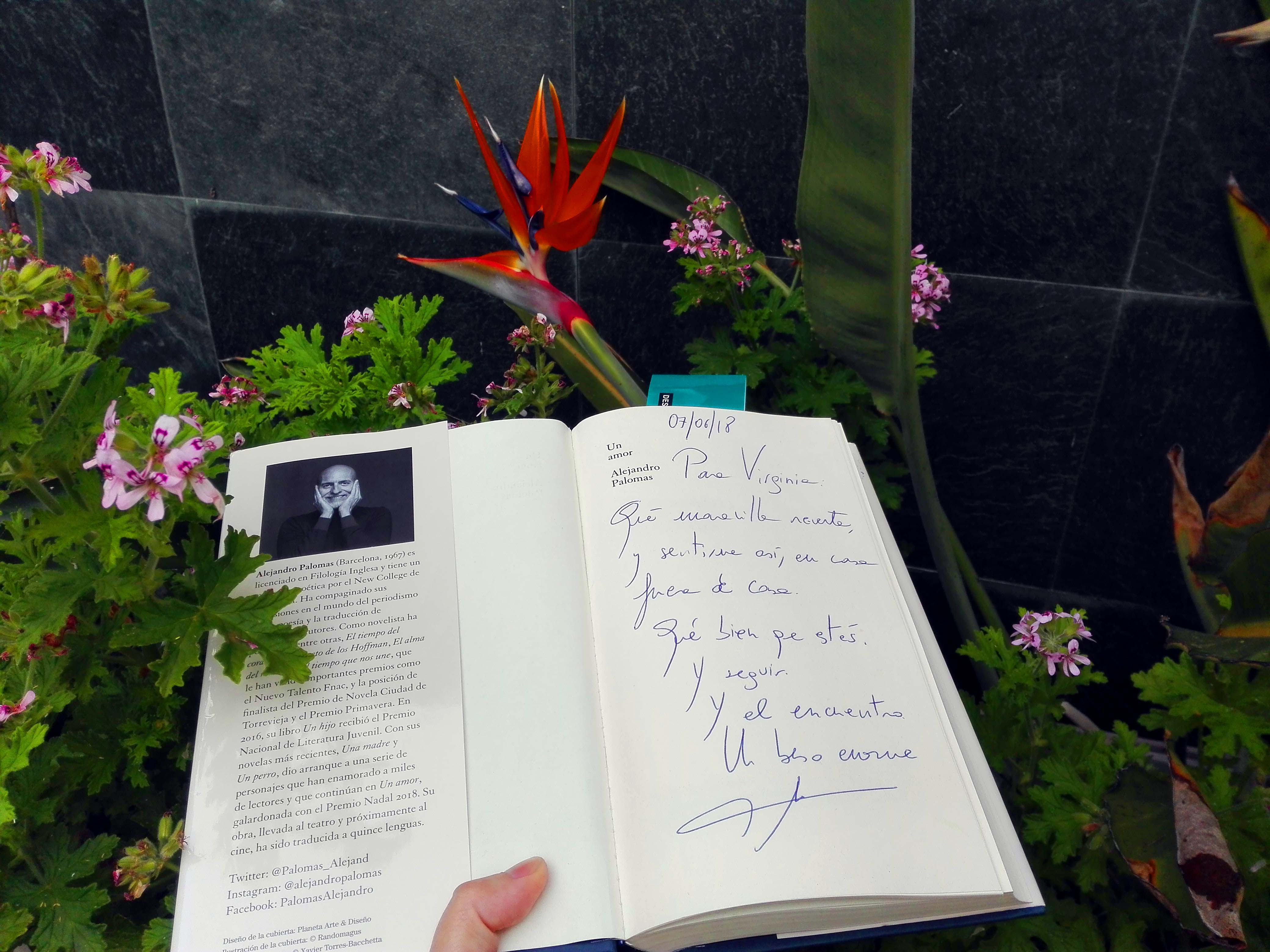 Un amor, de Alejandro Palomas. 